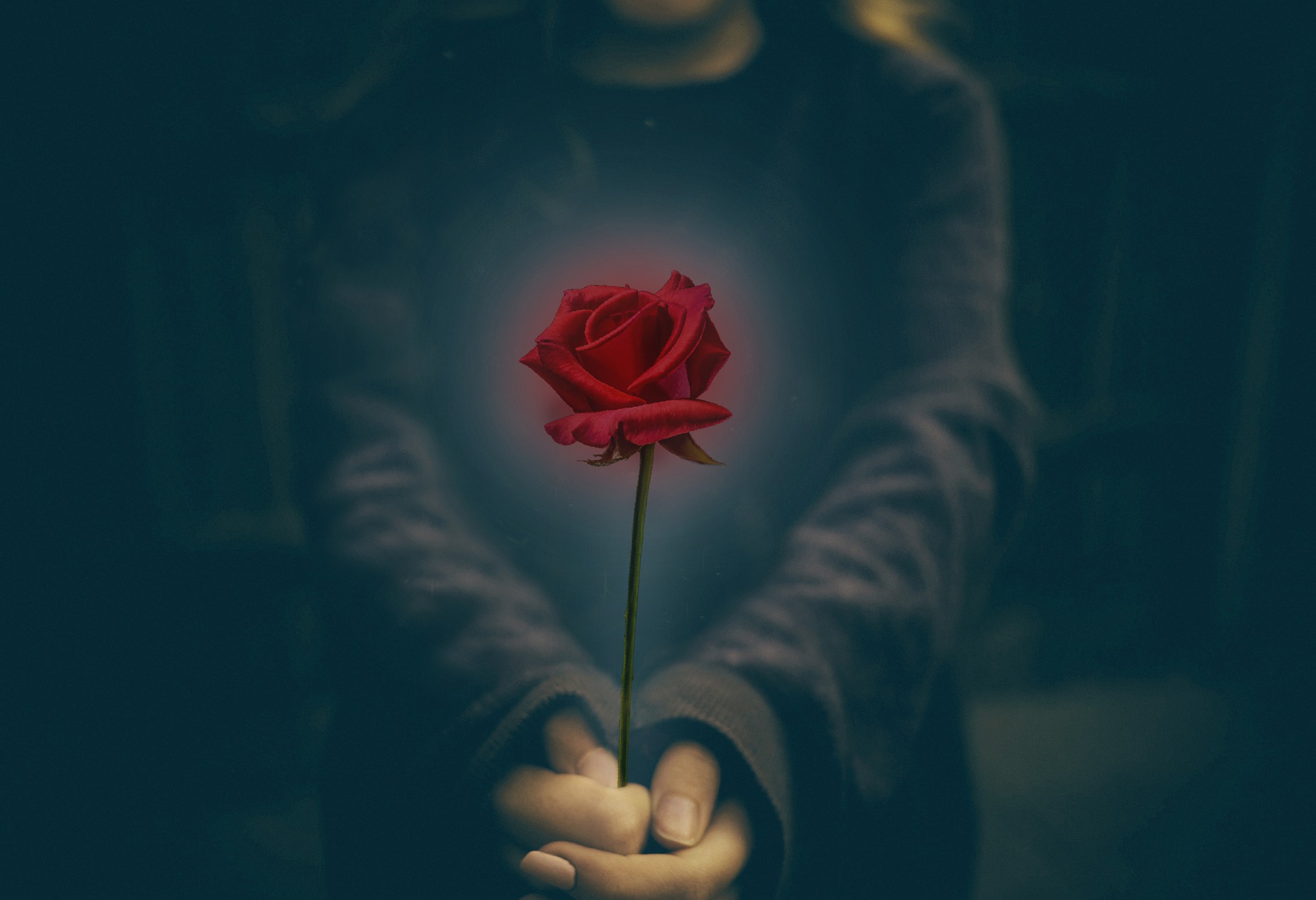 Gewalt in der Geburtshilfe: Der jährliche Roses Revolution Day am 25.11.